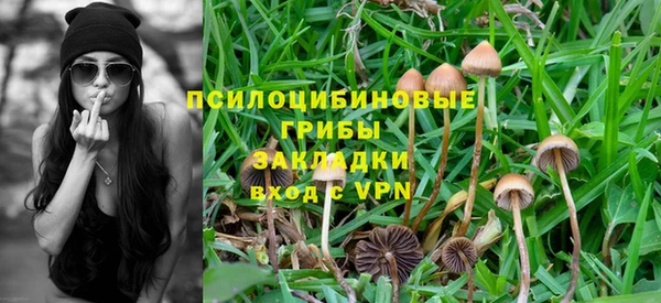 Альфа ПВП Абинск